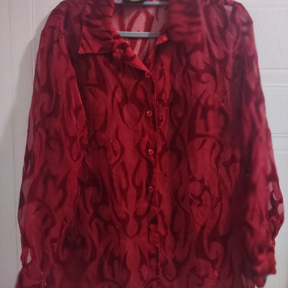 Elegant Red Sheer Blouse